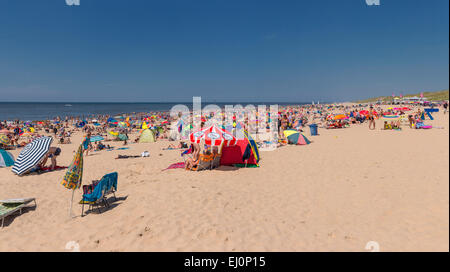 Paesi Bassi, Olanda, Europa Egmond aan Zee, Noord-Holland, paesaggio, Estate, spiaggia, mare, persone Foto Stock