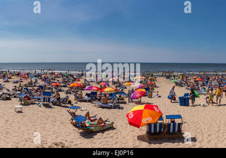 Paesi Bassi, Olanda, Europa Egmond aan Zee, Noord-Holland, paesaggio, Estate, spiaggia, mare, persone Foto Stock