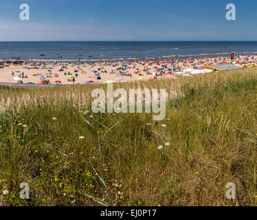 Paesi Bassi, Olanda, Europa Egmond aan Zee, Noord-Holland, paesaggio, Estate, spiaggia, mare, persone Foto Stock