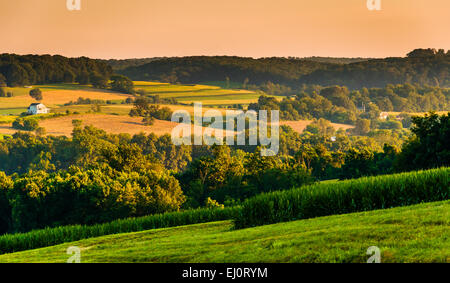 Vista delle colline e campi di fattoria al tramonto, nelle zone rurali a York County, Pennsylvania. Foto Stock