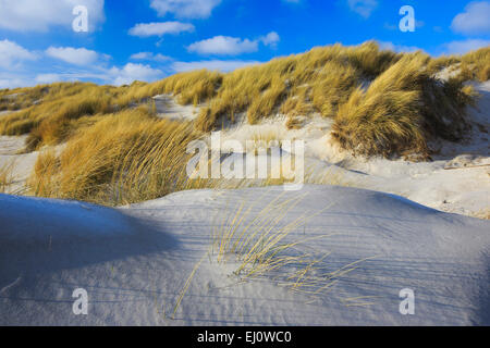 Germania, Europa, dune, dune erba, Helgoland, costa, vegetazione costiera, mare, mare, natura minore, isola del Mare del Nord, spiaggia, Foto Stock