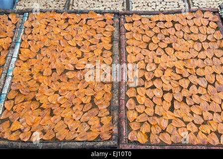 Thailandia, Petchaburi, Asia, essiccato calamari, cibo, turismo, frutti di mare Foto Stock