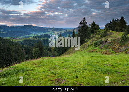 Vista, Hundwiler Höhe, altezza Hundwil, Svizzera, Europa, del cantone di Appenzell Ausserrhoden, legno, foresta, abeti rossi, la luce del mattino Foto Stock