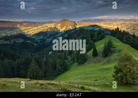 Vista, Hundwiler Höhe, altezza Hundwil, Svizzera, Europa, del cantone di Appenzell Ausserrhoden, legno, foresta, abeti rossi, Alp, mattina l Foto Stock