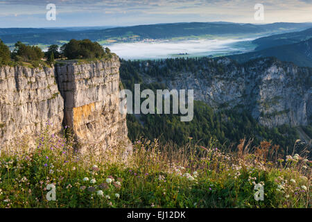 Creux du van, Svizzera, Europa, il cantone di Neuchâtel, Giura, Neuchâtel, rocce, cirque, la luce del mattino Foto Stock