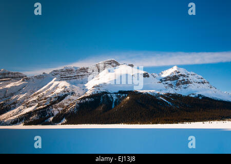 Neve e ghiaccio coperto al Lago Bow sul Columbia Icefields Parkway in inverno, il Parco Nazionale di Banff Alberta Canada Foto Stock