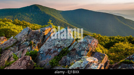 Vista serale verso Hawksbill Vertice da Betty's Rock, lungo l'Appalachian Trail nel Parco Nazionale di Shenandoah, Virginia. Foto Stock