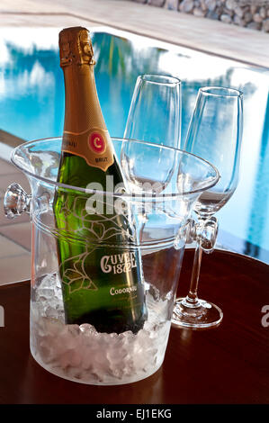 SPUMANTE CAVA CHAMPAGNE VACANZA VINO vacanza Codorniu brut Cava spagnolo bottiglia di vino frizzante e bicchieri, su ghiaccio nel refrigeratore del vino, piscina di lusso dietro Foto Stock