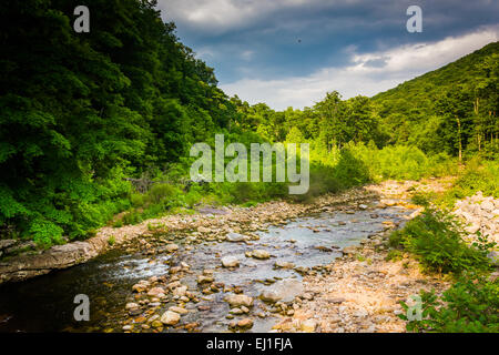 Red Creek, nel rurale Potomac Highlands della West Virginia. Foto Stock