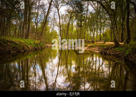 Riflessioni a Patowmack Canal a Great Falls Park, Virginia. Foto Stock