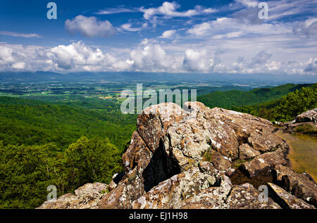 Vista la molla di Shenandoah Valley da Franklin scogliere si affacciano lungo Skyline Drive nel Parco Nazionale di Shenandoah, Virginia Foto Stock