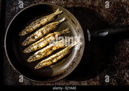 Sardine grigliate in una padella su una piastra nera. Vista superiore Foto Stock