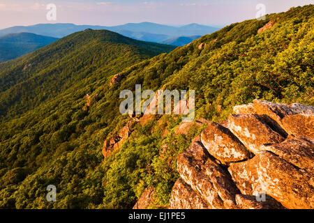 Vista delle Blue Ridge Mountains dal pinnacolo, lungo l'Appalachian Trail nel Parco Nazionale di Shenandoah, Virginia Foto Stock