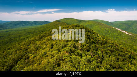 Vista del crinale e Valley Appalachians dal grande Schloss, in George Washington National Forest, VA. Foto Stock