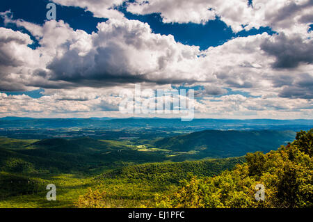 Vista della valle di Shenandoah e monti Appalachi da Mill Mountain Trail sul Grande Nord Montagna in George Washingto Foto Stock