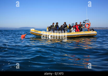 Scuba diving viaggio. A Coruna. La Galizia. Spagna. Foto Stock