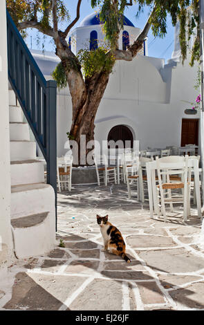 Greco chiesa Orthadox a Naoussa a Paros, Grecia. Foto Stock