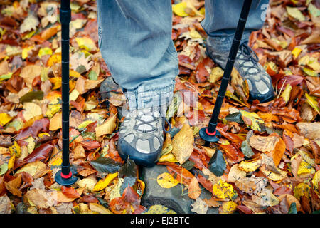 Primo piano di tracciamento di scarpe e poli su foglie di autunno. Foto Stock