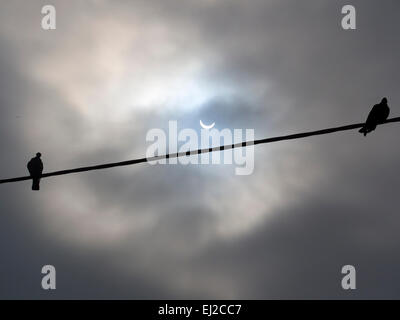 L'eclisse solare parziale del 20 marzo 2015, al suo massimo, visto dal villaggio Radley in Oxfordshire, Inghilterra. Immagine 6 della sequenza. Foto Stock