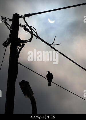 L'eclisse solare parziale del 20 marzo 2015, al suo massimo, visto dal villaggio Radley in Oxfordshire, Inghilterra. Immagine 4 di sequenza. Foto Stock