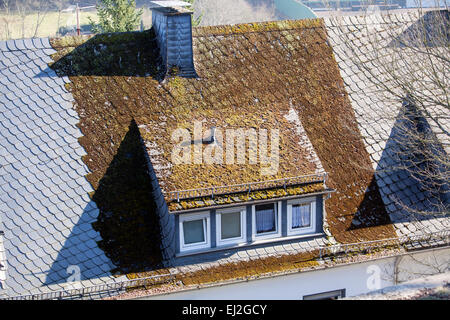 Nuovo tetto di ardesia senza moss e il vecchio tetto con MOSS, Renania settentrionale-Vestfalia, Germania, Europa Foto Stock