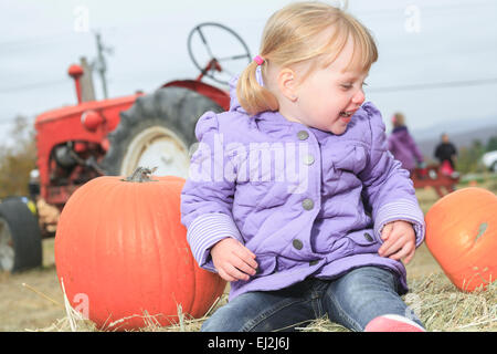 Felice piccolo bambino, ridendo toddler carina ragazza in abito casual Foto Stock