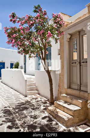 Strada tipica scena in Parikia, Paros, Grecia. Foto Stock
