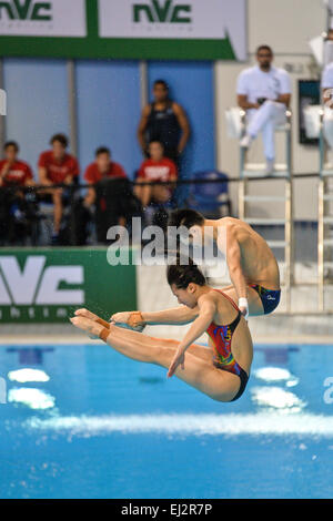 DUBAI, UAE, 20 marzo 2015. Chen Aisen e lui Zi della Cina sul loro modo di vincere la sincro 3m Springboard World Series medaglia d'oro a Dubai. La coppia di cinesi in maniera restrittiva battere il duo canadese di Jennifer Abel e Francois ImbeauDulac che ha conquistato l'argento Credito: Feroz Khan/Alamy Live News Foto Stock