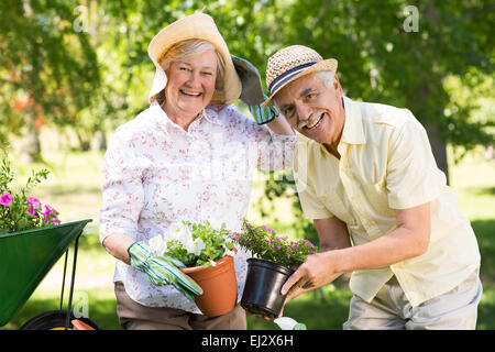 Felice coppia senior giardinaggio Foto Stock