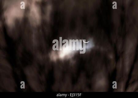 Edimburgo, Scozia. Xx marzo, 2015. Eclissi solare visto attraverso gli alberi e il cloud, Edimburgo, XX marzo 2015 Credit: GARY DOAK/Alamy Live News Foto Stock