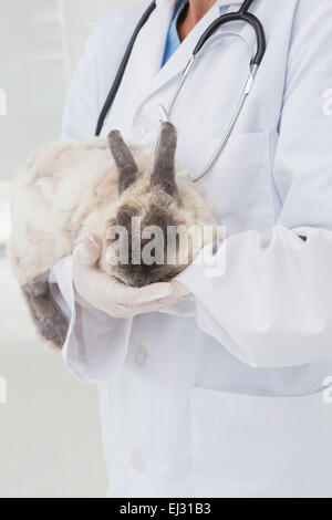 Veterinario con un coniglio nelle sue braccia Foto Stock