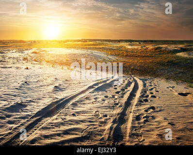 Auto tracce in un deserto di sabbia al tramonto Foto Stock