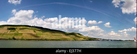 Valle del Medio Reno vicino a Ruedesheim nel Rheingau, Hesse, Germania Foto Stock