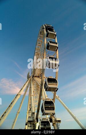 La ruota di Brighton Foto Stock