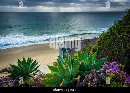 Il giardino e la casa che si affacciano sull'Oceano Pacifico, in Laguna Beach in California. Foto Stock