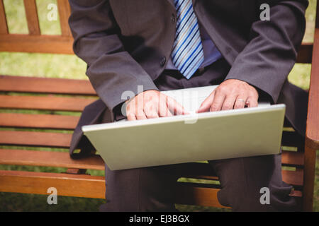 Imprenditore utilizzando laptop nel parco Foto Stock
