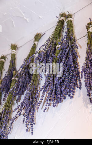 Lavanda appesi per asciugare in corrispondenza di Pelindaba Fattoria di Lavanda, San Juan Island, Washington, Stati Uniti d'America Foto Stock