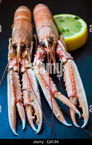 Gamberi in conchiglia con limone - rivolta Foto Stock