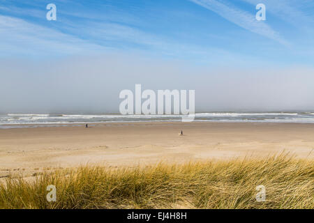 Spiaggia, costa del Mare del Nord, Bergen aan Zee, North Holland, Paesi Bassi, Foto Stock