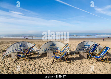 Spiaggia, costa del Mare del Nord, Bergen aan Zee, North Holland, Paesi Bassi, bar in spiaggia, sedie a sdraio, Foto Stock