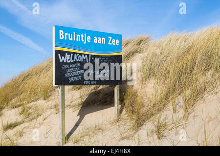 Spiaggia, costa del Mare del Nord, Bergen aan Zee, North Holland, Paesi Bassi, Foto Stock