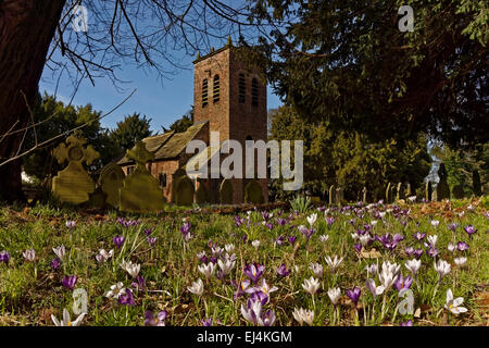 San Werburgh la chiesa, Warburton, Cheshire. Foto Stock