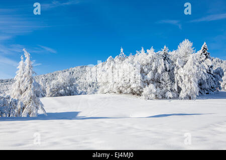 La Feclaz, Savoie, Rhône-Alpes, in Francia Foto Stock