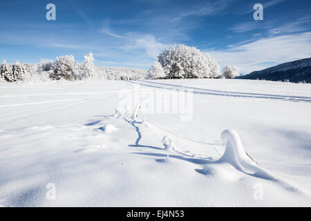 La Feclaz, Savoie, Rhône-Alpes, in Francia Foto Stock