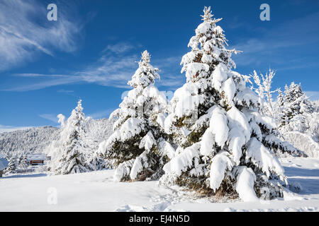 La Feclaz, Savoie, Rhône-Alpes, in Francia Foto Stock