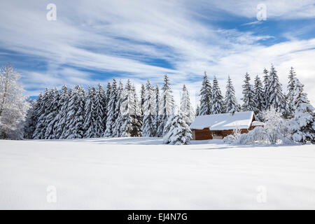 La Feclaz, Savoie, Rhône-Alpes, in Francia Foto Stock