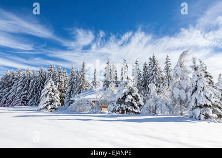 La Feclaz, Savoie, Rhône-Alpes, in Francia Foto Stock