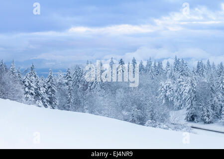 Mont Granier in inverno, naturale Parc De La Chartreuse, Savoie, Rhône-Alpes, in Francia Foto Stock