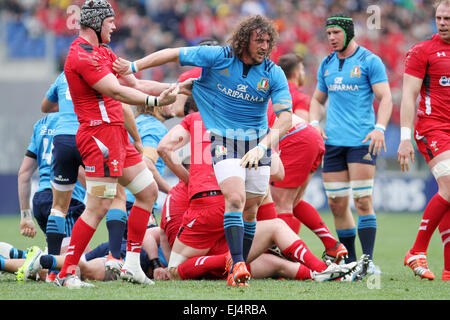 Roma, Italia. Xxi marzo, 2015. Mauro Bergamasco (Italia) reagisce durante Sei Nazioni di rugby internazionale europea match tra Italia e Galles il 21 marzo 2015 presso lo Stadio Olimpico di Roma. Foto Stock