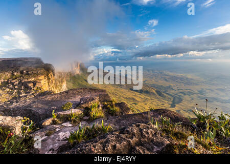 La vista dal pianoro di Roraima sul Gran Sabana - Venezuela, America Latina Foto Stock